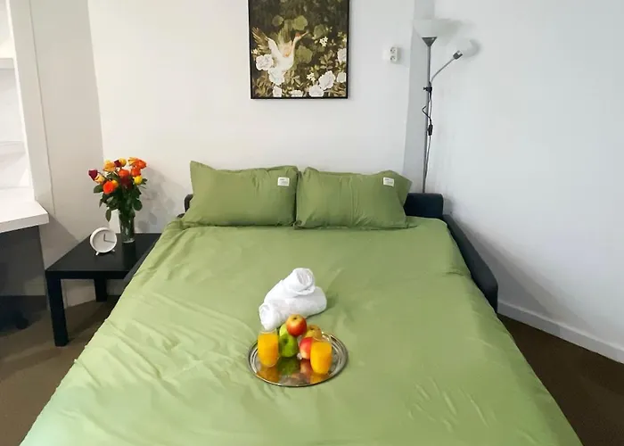 Appartement The Champs-élysées Paris